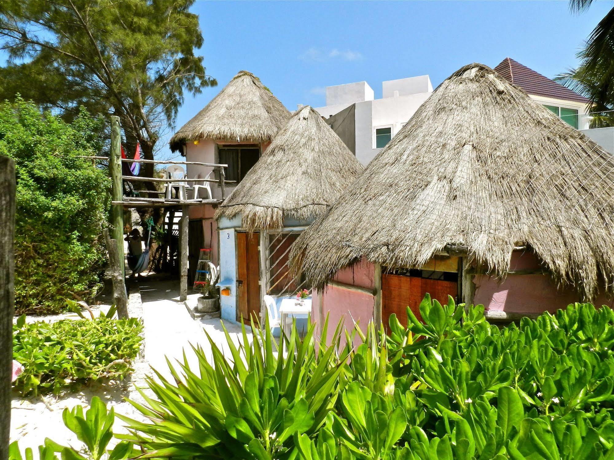 Acamaya Reef Cabanas Puerto Morelos Exterior foto