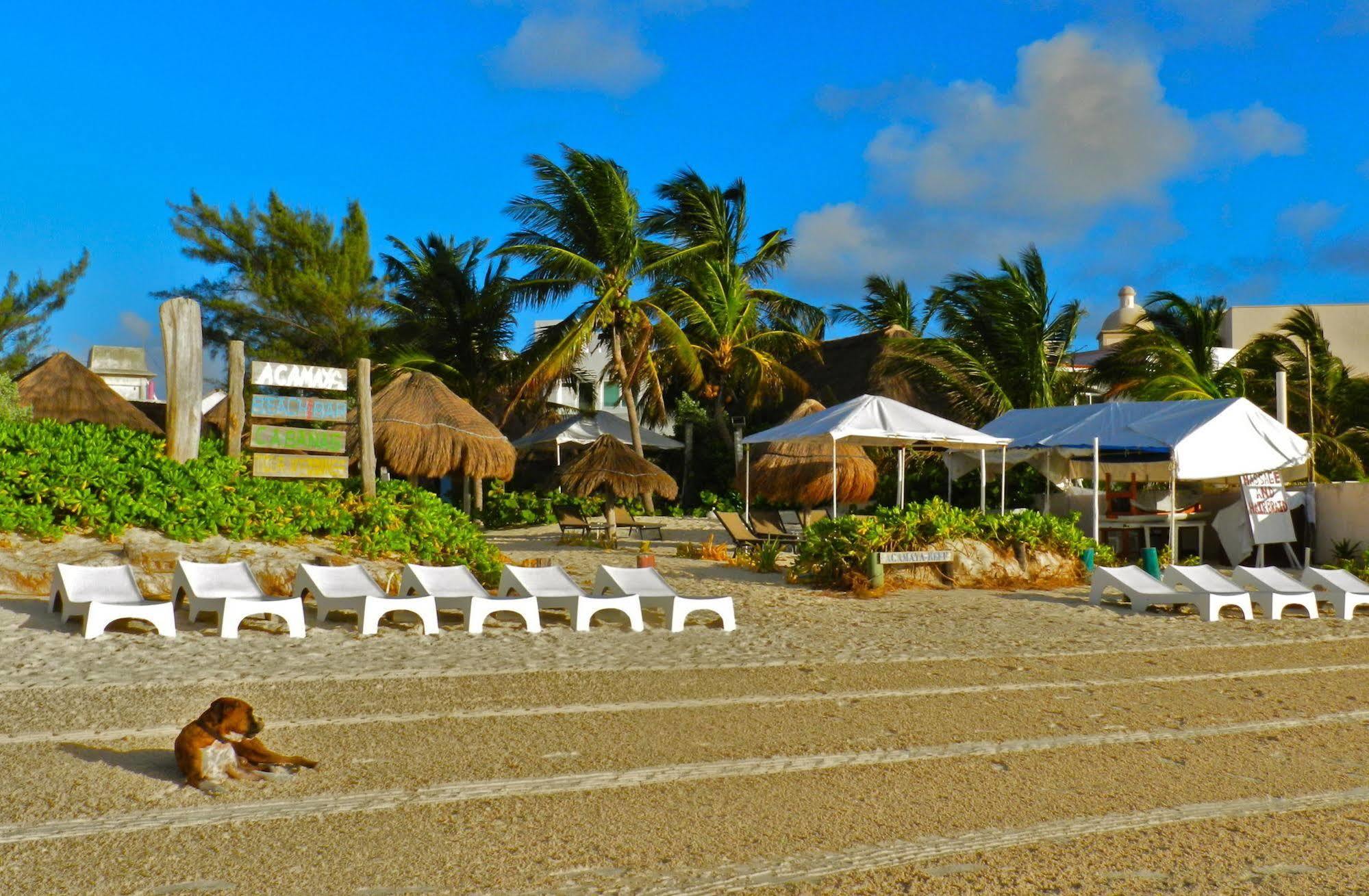 Acamaya Reef Cabanas Puerto Morelos Exterior foto